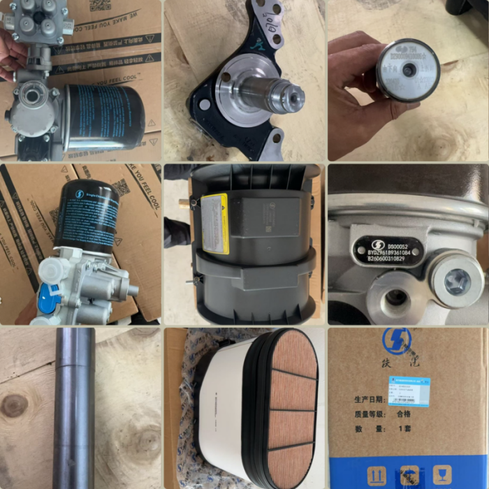 Maurício Auto Parts Giant encomenda peças sobressalentes originais SHACMAN, primeira remessa despachada com pedidos de acompanhamento planejados